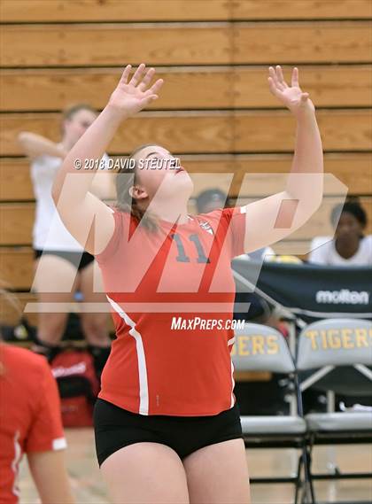 Thumbnail 2 in Antelope @ Inderkum photogallery.