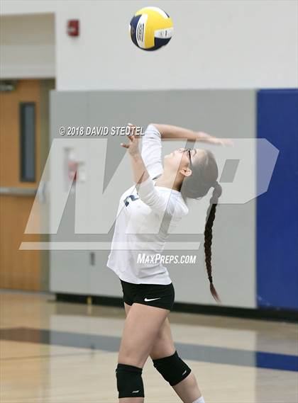 Thumbnail 1 in Antelope @ Inderkum photogallery.