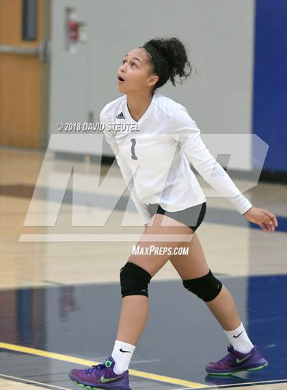 Thumbnail 3 in Antelope @ Inderkum photogallery.