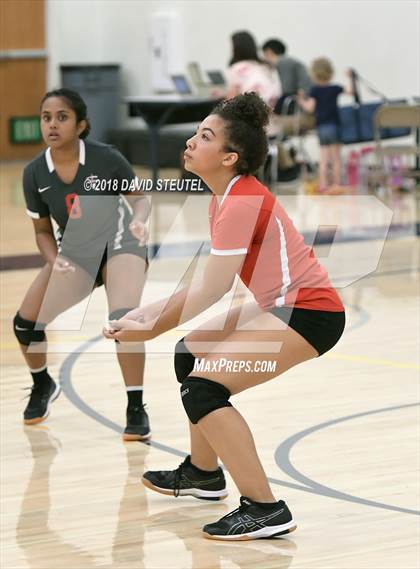 Thumbnail 1 in Antelope @ Inderkum photogallery.