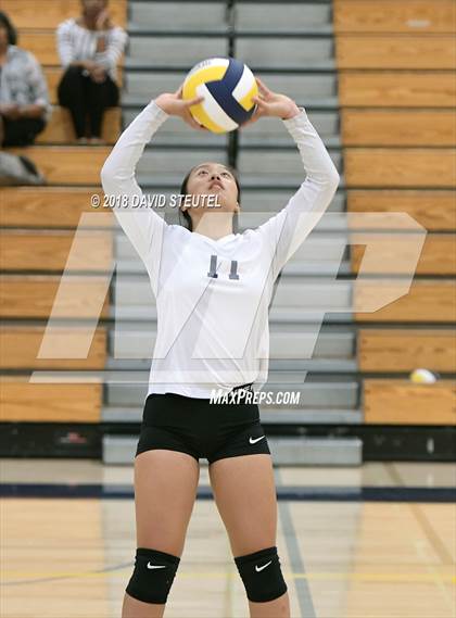 Thumbnail 2 in Antelope @ Inderkum photogallery.