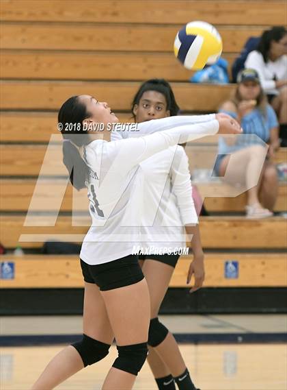 Thumbnail 3 in Antelope @ Inderkum photogallery.