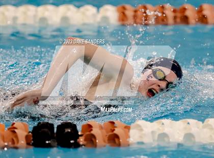 Thumbnail 2 in UIL 5A State Varsity Swim & Dive Finals photogallery.