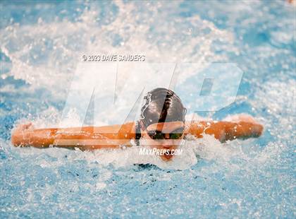 Thumbnail 3 in UIL 5A State Varsity Swim & Dive Finals photogallery.