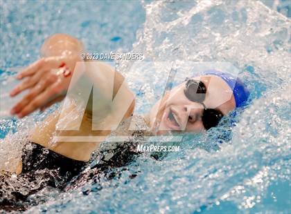 Thumbnail 2 in UIL 5A State Varsity Swim & Dive Finals photogallery.