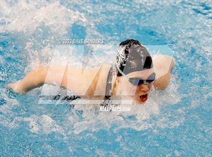 Thumbnail 3 in UIL 5A State Varsity Swim & Dive Finals photogallery.