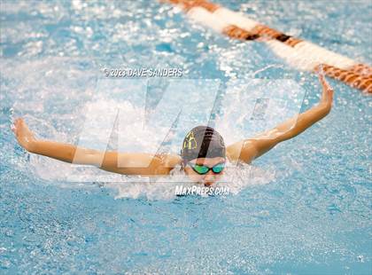 Thumbnail 1 in UIL 5A State Varsity Swim & Dive Finals photogallery.