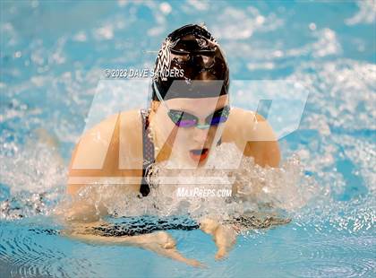 Thumbnail 2 in UIL 5A State Varsity Swim & Dive Finals photogallery.