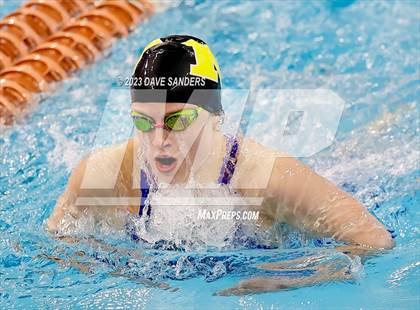 Thumbnail 1 in UIL 5A State Varsity Swim & Dive Finals photogallery.
