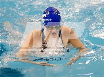 Thumbnail 3 in UIL 5A State Varsity Swim & Dive Finals photogallery.