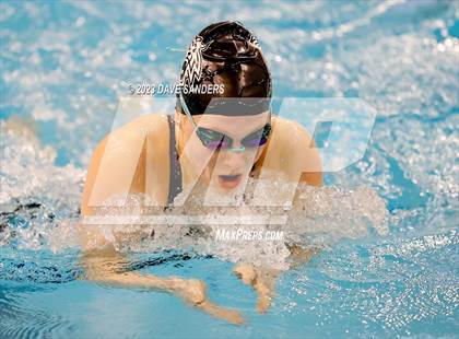 Thumbnail 3 in UIL 5A State Varsity Swim & Dive Finals photogallery.