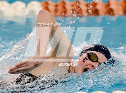 Thumbnail 3 in UIL 5A State Varsity Swim & Dive Finals photogallery.