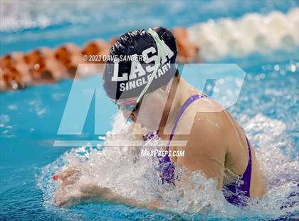 Thumbnail 3 in UIL 5A State Varsity Swim & Dive Finals photogallery.