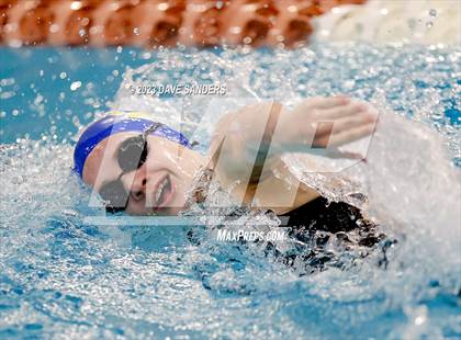 Thumbnail 1 in UIL 5A State Varsity Swim & Dive Finals photogallery.