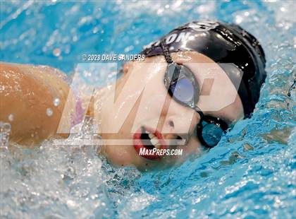 Thumbnail 3 in UIL 5A State Varsity Swim & Dive Finals photogallery.