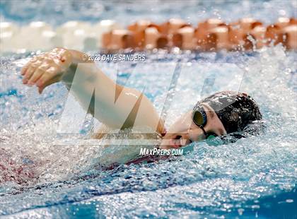 Thumbnail 1 in UIL 5A State Varsity Swim & Dive Finals photogallery.