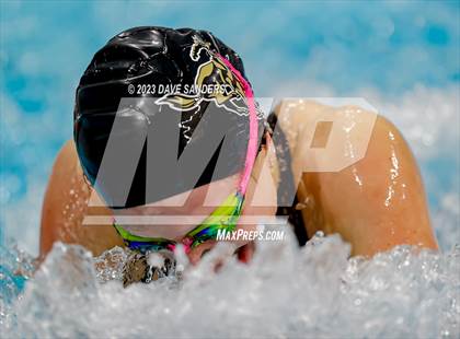 Thumbnail 3 in UIL 5A State Varsity Swim & Dive Finals photogallery.