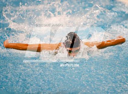 Thumbnail 1 in UIL 5A State Varsity Swim & Dive Finals photogallery.