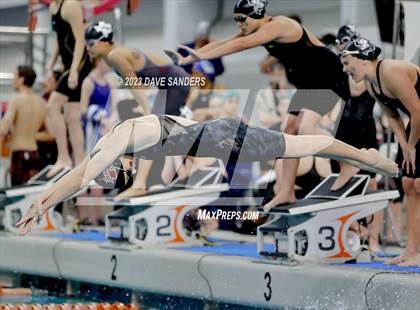 Thumbnail 1 in UIL 5A State Varsity Swim & Dive Finals photogallery.