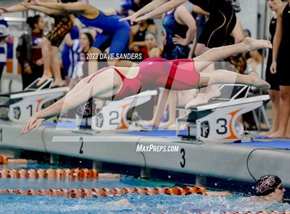 Thumbnail 2 in UIL 5A State Varsity Swim & Dive Finals photogallery.
