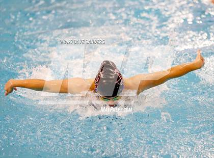 Thumbnail 1 in UIL 5A State Varsity Swim & Dive Finals photogallery.