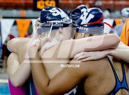 Thumbnail 3 in UIL 5A State Varsity Swim & Dive Finals photogallery.