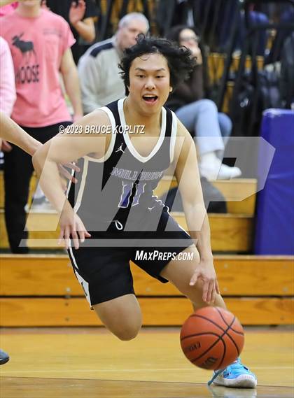 Thumbnail 1 in West Essex @ Millburn photogallery.