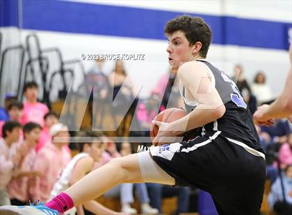 Thumbnail 1 in West Essex @ Millburn photogallery.