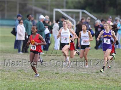 Thumbnail 1 in CIF NCS Crooss County Championships (Girls D1) photogallery.