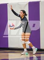 Photo from the gallery "Vintage @ Petaluma"