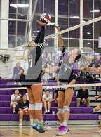 Photo from the gallery "Vintage @ Petaluma"