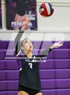 Photo from the gallery "Vintage @ Petaluma"