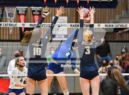 Thumbnail 1 in Branson @ Marin Catholic photogallery.
