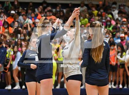 Thumbnail 3 in Branson @ Marin Catholic photogallery.