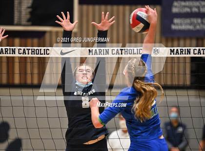 Thumbnail 3 in Branson @ Marin Catholic photogallery.