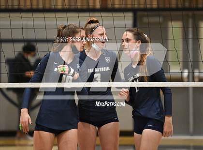 Thumbnail 3 in Branson @ Marin Catholic photogallery.