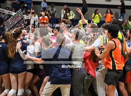 Thumbnail 2 in Branson @ Marin Catholic photogallery.