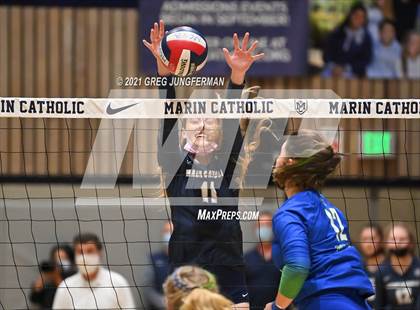 Thumbnail 3 in Branson @ Marin Catholic photogallery.