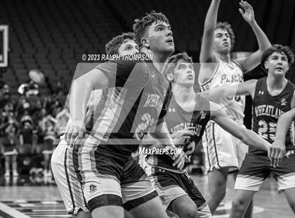 Thumbnail 1 in Placer vs. Wheatland (@ Golden 1 Center) photogallery.