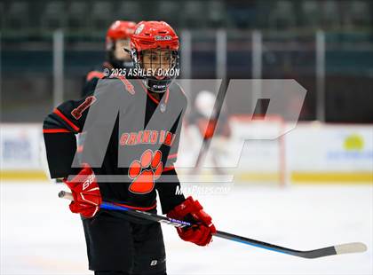 Thumbnail 2 in Grand Blanc @ Port Huron photogallery.