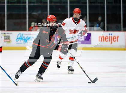 Thumbnail 3 in Grand Blanc @ Port Huron photogallery.