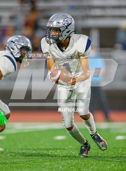 Thumbnail 3 in Silverado @ Villa Park photogallery.