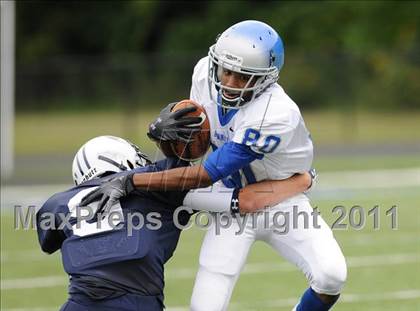 Thumbnail 3 in Bunnell @ Immaculate photogallery.