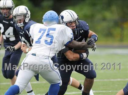 Thumbnail 2 in Bunnell @ Immaculate photogallery.
