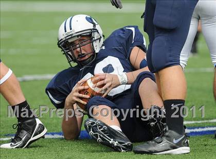 Thumbnail 2 in Bunnell @ Immaculate photogallery.