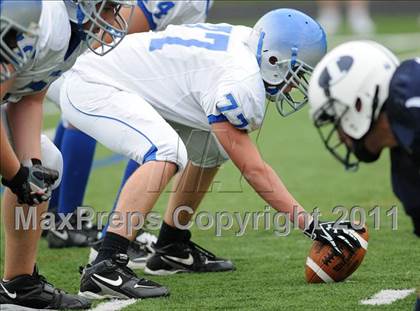 Thumbnail 1 in Bunnell @ Immaculate photogallery.
