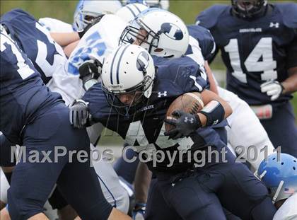 Thumbnail 1 in Bunnell @ Immaculate photogallery.
