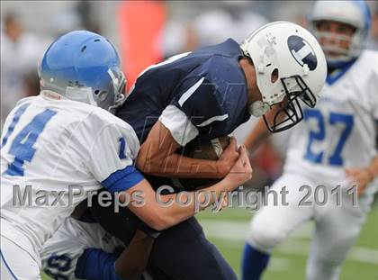Thumbnail 3 in Bunnell @ Immaculate photogallery.