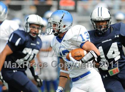 Thumbnail 1 in Bunnell @ Immaculate photogallery.