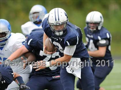 Thumbnail 1 in Bunnell @ Immaculate photogallery.